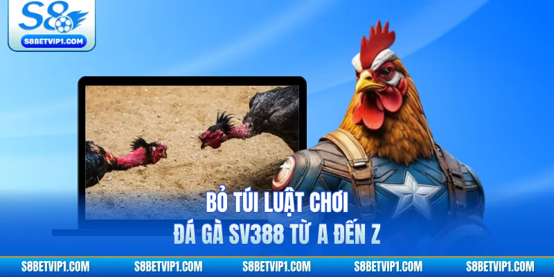 Luật Chơi Đá Gà SV388 Tại S8 Dành Cho Những Người Mới 3 Bỏ túi luật chơi đá gà SV388 từ A đến Z