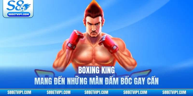 JILI S8 - Đỉnh Cao Nổ Hũ Đổi Thưởng Dành Cho Game Thủ 3 Boxing King mang đến những màn đấm bốc gay cấn