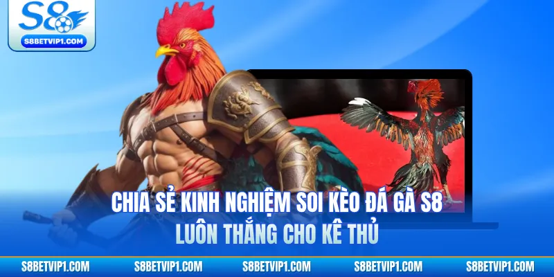 Chia Sẻ Kinh Nghiệm Soi Kèo Đá Gà S8 Luôn Thắng Cho Kê Thủ 1 Chia Sẻ Kinh Nghiệm Soi Kèo Đá Gà S8 Luôn Thắng Cho Kê Thủ