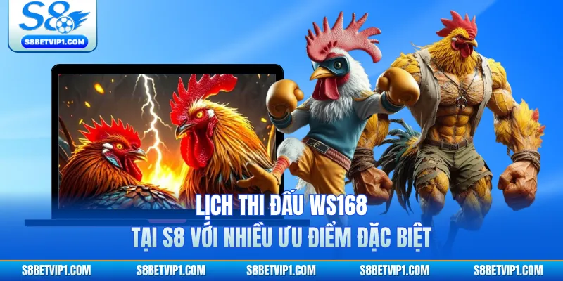 Lịch Thi Đấu WS168 - Tổng Hợp Các Giải Đá Gà Lớn Nhất 3 Lịch thi đấu WS168 tại S8 với nhiều ưu điểm đặc biệt