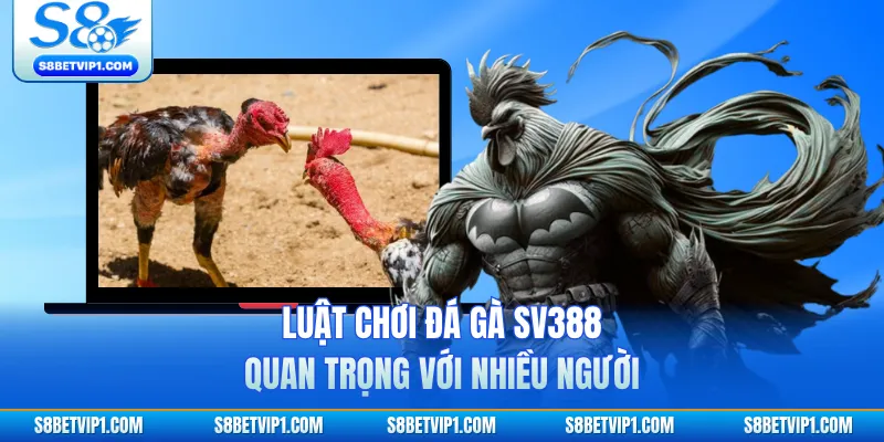 Luật Chơi Đá Gà SV388 Tại S8 Dành Cho Những Người Mới 2 Luật chơi đá gà SV388 quan trọng với nhiều người