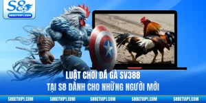 Luật Chơi Đá Gà SV388 Tại S8 Dành Cho Những Người Mới