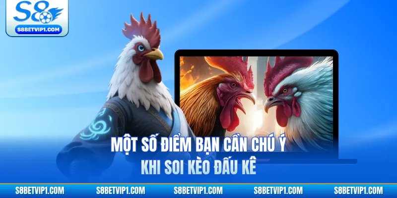 Chia Sẻ Kinh Nghiệm Soi Kèo Đá Gà S8 Luôn Thắng Cho Kê Thủ 4 Một số điểm bạn cần chú ý khi soi kèo đấu kê