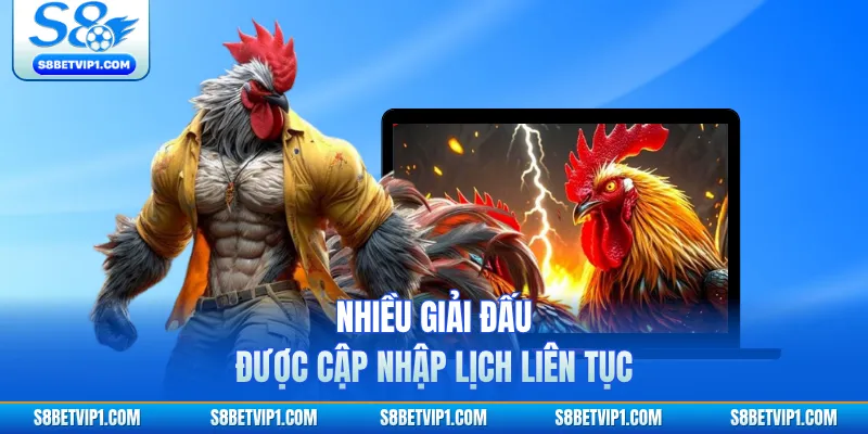 Lịch Thi Đấu WS168 - Tổng Hợp Các Giải Đá Gà Lớn Nhất 4 Nhiều giải đấu được cập nhập lịch liên tục