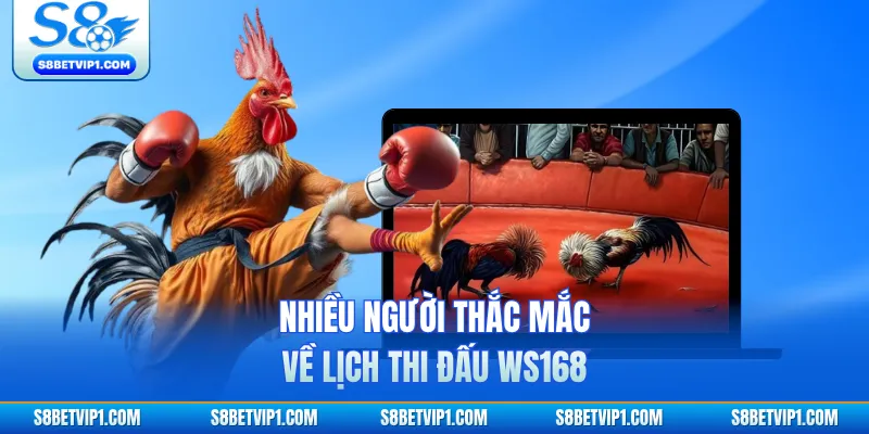 Lịch Thi Đấu WS168 - Tổng Hợp Các Giải Đá Gà Lớn Nhất 2 Nhiều người thắc mắc về lịch thi đấu WS168