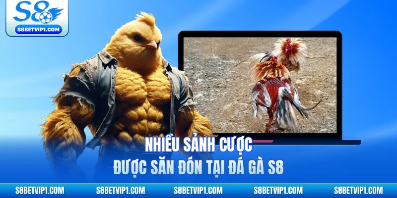 Nhiều sảnh cược được săn đón tại đá gà S8