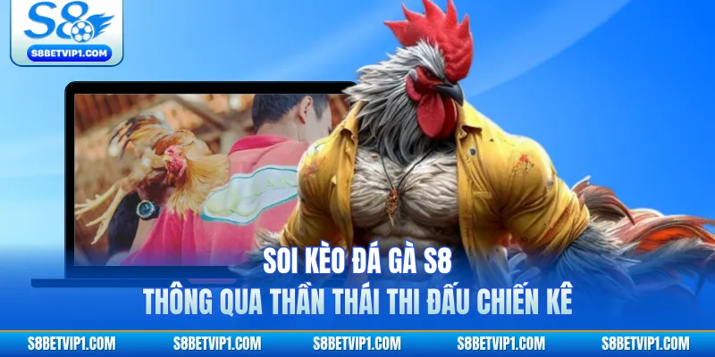 Chia Sẻ Kinh Nghiệm Soi Kèo Đá Gà S8 Luôn Thắng Cho Kê Thủ 3 Soi kèo đá gà S8 thông qua thần thái thi đấu chiến kê