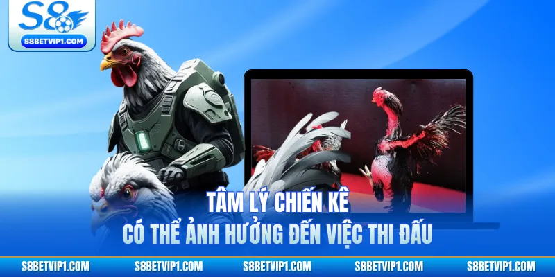 Luật Chơi Đá Gà SV388 Tại S8 Dành Cho Những Người Mới 4 Tâm lý chiến kê có thể ảnh hưởng đến việc thi đấu