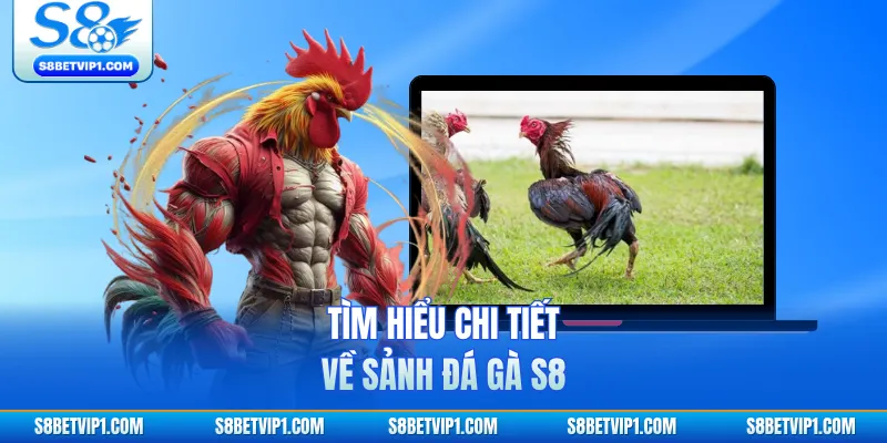Tìm hiểu chi tiết về sảnh đá gà S8