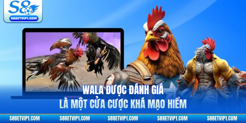 Chia Sẻ Kinh Nghiệm Soi Kèo Đá Gà S8 Luôn Thắng Cho Kê Thủ 2 Wala được đánh giá là một cửa cược khá mạo hiểm